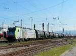 bls - Lok 486 ...  Hp. Teutschmann 25.09.2010