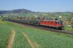 Re 6/6 11653 zieht am 27.4.10 einen leeren Autozug Richtung ...