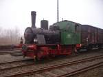 Eine kleine Gr�ne Dampflok ...  Daniel Michler 21.02.2010