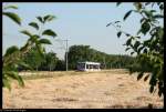 rnv-oeg-heidelberg-ludwigshafen-mannheim W�hrend der Fahrer vom Wagen 4118 im F�hrerstand in der Sonne brutzelt sucht sich der Fotograf am 19. Juli 2010 ein schattiges Pl�tzchen inmitten von Pflaumenb�umen.