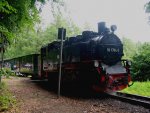 Rugensche Baderbahn - Rasender Roland 99 1784-0 am Jagdschloss 2009