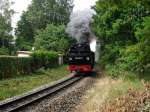 Rugensche Baderbahn - Rasender Roland Nach dem Verlassen von Binz nimmt 99 4802 Anlauf um die Steigung zum Haltepunkt Jagdschlo� zuschaffen.