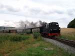 Rugensche Baderbahn - Rasender Roland 99 4802 am 24.Juli 2010 mit dem P 107 Lauterbach Mole-G�hren unterwegs bei Serams.