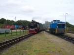 Putbus (33 Fotos)