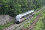 Wegen dem vielen Grafitti, kann man die Nummer dieses Siemens Desiro Trebzuges der Baureihe 96 nicht mehr erkennen.