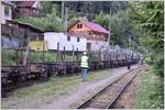 Auch 20 Holztrucks werden mitgenommen, um sie im Wassertal mit Langholz zu beladen. (12.06.2017)