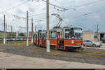 Ex-Berliner Tatra-Wagen 19 am 9. Juli 2018 auf der Linie 102 der Strassenbahn Cluj-Napoca an der Endhaltestelle im Tramdepot.
