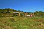 Diese Brücke Steht auf dem Streckenabschnitt zwischen Salva und Viseu de Sus, etwas nördlich von Romuli.