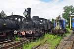 Eine Dampflok äterer Generation (vermutlich um den Ersten Weltkrieg) steht ausgestellt im Bahnmuseum des BW Sibiu.