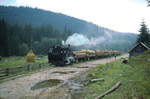 Auf der Rückfahrt vom Verladeplatz tief in den Wäldern legt 764-449 der Waldbahn Moldovita mit einem Holzzug im August 1992 einen kurzen Zwischenhalt ein.