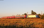 64 1013-3 mit dem D 1934 (Satu Mare-Bucuresti Nord Gara A) bei Diosig 31.8.16