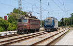 BDŽ 44 134 & CFR 66 1002 / Ruse, 24. Juli 2023<br>
Lokwechsel nach der Grenze in Bulgarien.