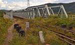 Die Entfernungen auf rumänischen Eisenbahnstrecken werden nicht vom Streckenanfang sondern vom Bukarester Nordbahnhof aus gemessen. Deshalb steht auf diesem Meilenstein vor der südlichen Einfahrt in Bahnhof Calimanesti 308,4 Kilometer, obwohl Calimanesti nur 61 Kilometer vom nördlichen und 103 Kilometer vom südlichen Ende der Strecke 201 weit entfernt liegt. Die drei schwarze Boxen nach dem Meilenstein dienen höchstwahrscheinlich zur automatischen Setzung von Signalen im bahnhof und/oder von Bahnschranken. Foto vom 23.09.2017