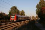 Im abendlichen Herbstlicht am ...  Stephan M�ckel 14.10.2011
