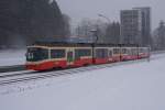 Bei starkem Schneefall f�hrt am 29.1.10 ein Zug mit dem ...