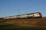 RABe 514 049-6 befindet sich am 15.1.12 zwischen Wetzikon und ...