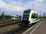 SA133-006 und im Hintergrund SA108-006 der Lubuska Kolej Regionalna LKR ...