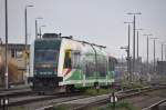 Kostrzyn (K�strin), 28.10.2010, SA133-003 ...  Reinhard Zabel 26.11.2010