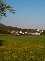 Ein unbekannt gebliebener Seehas ...  Marvin 26.04.2011