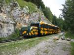 Bei einer Wanderung am 02.09.2010 entlang der Schneebergbahn kam uns ...