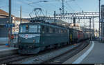 Die SBB Historic Ae 6/6 11421  Graubünden  überführte am 16.