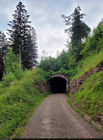 Der 70 Meter lange Weissenegg-Tunnel der ehemaligen Rigi-Scheidegg-Bahn ist noch erhalten. Schon seit 1931 fahren hier keine Züge mehr. Stattdessen kann die Schmalspurbahn als Wanderweg und im Winter zusätzlich als Langlauf-Loipe genutzt werden.

🕓 29.7.2023 | 15:55 Uhr