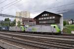 Re 485 014 und 009 mit Geti bei Spiez am 13.05.2010