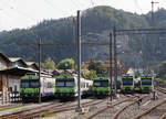 BERN-LÖTSCHBERG-SIMPLON-BAHN BLS
Nicht gestellte Fahrzeugparade in Burgdorf vom 15. September 2018 mit RBDe 565 und RABe 525  NINA .
Zum Standort: Perron, Bildausschntt Fotoshop.
Foto: Walter Ruetsch 