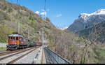 Ae 6/8 205 fährt am 8. April 2017 mit einem Sonderzug bei Lalden die Lötschberg-Südrampe hinauf.