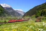 Re 4/4 II 11252 + eine Re 6/6 mit einem aus SBB und DB-Eoas bestehenden Ganzzug am 5.5.2016 bei Silenen