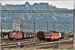 SBB Re 4/4 II 11187 und ÖBB 1144 108 in Buchs SG.