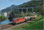 Die SBB Re 420 247-9 mit einem Güterzug kurz vor Villenneuve.
4. Sept. 2017