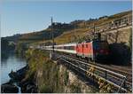 Die SBB Re 4/4 II 11194 mit ihrem IR 1927 Genève-Aéroport - Sion zwischen Rivaz und St Saphorin.