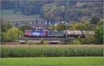 Bahn am Hochrhein. Bei Pratteln überqueren 421 389 und Re 4/4<sup>II</sup> 11309 die Autobahn Richtung Bözberg. Oktober 2017.