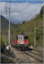 Einige SBB Re 4/4 II, geführt von Re 420 279-2, ziehen bei Varzo einen Güterzug Richtung Domodossoala.