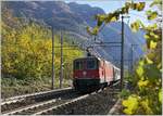 Kurz nach Varzo schiebt die SBB Re 4/4 II 11193 ihren IR 3317 von Brig nach Domodossola durch das herbstliche Val Divero.
27. Okt. 2017