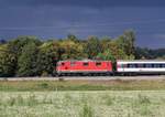 Die SBB Re 4/4 II Nr. 11115 bespannte am 14. August 2018 den IR 37 St. Gallen - Basel SBB und ist in hier kurz nach Bassersdorf unterwegs.
