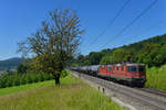 Re 4/4 11314 und eine weitere Re 420 mit einem Kesselzug am 23.06.2016 bei Villnachern. 