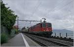 Die SBB Re 4/4 II 11322 und weiterhin die Re 4/4 II 11275 sind mit ihrem (leeren) Transit-Getreide-Blockzug von Italien auf der Rückfahrt nach Frankreich bei St-Sahorin am Genfer See unterwegs.

11. Mai 2020
