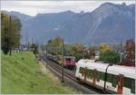 Viel Betrieb, eigentlich eine Freude für den Bahnfotografen...

Kurz nach Villeneuve begegnet die SBB Re 4/4 II 11340 (Re 420 340-2) mit einem Güterzug auf der Fahrt in Richtung Lausanne einen FLIRT. 

21. OKt. 2020