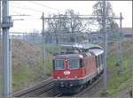 Re 4/4 II 11133 wird wegen dem SBB Zeichen, anstelle des Schweizerkreuzes auf der Stirnfront, eine ex Swiss Express Lok sein. Hier zieht sie den Rheintalexpress zwischen Goldach und Mrschwil nach St.Gallen. (17.04.2008)