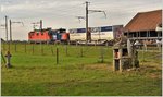 Güterzug mit Re 4/4 II 11257 in der March zwischen Schübelbach-Buttikon und Siebnen-Wangen. (24.10.2016)