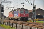 420 310-5 und Re 4/4 II 11236 zwischen Siebnen-Wangen und Schübelbach-Buttikon.