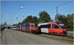 Lange Zeit Alltag: SBB Re 4/4 mit einem EC nach München beim Halt im Bahnhof von Bregenz. Umlaufbedingt führt der erste EC gleich zwei SBB Re 4/4 II, den Zug führt die Re 421 379-9 an. Im Hintergrund zeigt sich ein ÖBB 4024. 

16. September 2019 