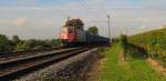 SBB Cargo 421 376-5 + 421 3xx mit dem DGS 59101 von Kln Eifeltor nach Donauwrth, bei Erbach (Rheingau); 06.10.2010