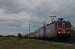 Am 14.09.2013 bespannten die Re 421 387-2 und Re 421 388-0 von SBB Cargo einen langen Containerzug, als sie bei Hügelheim gen Freiburg fuhren.