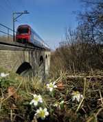 Sieht am ersten Blick für ein Frühlingsanfang Bild etwas gewöhnlich aus, aber ist es nicht: Es ist ein eher seltener Zug der in der Gegend -im Embrachertal sich blicken lässt.