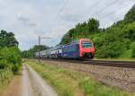 Re 450 113 als S3 nach Wetzikon am 14.06.2014 bei Mellingen.
