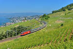 Re 460 048 mit einem IC am 16.06.2014 bei Grandvaux. 