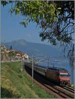 Die SBB Re 460 026-8 mit ihrem IR 1732 von Brig nach Genève Aéroport zwischen St-Saphorin und Rivaz.